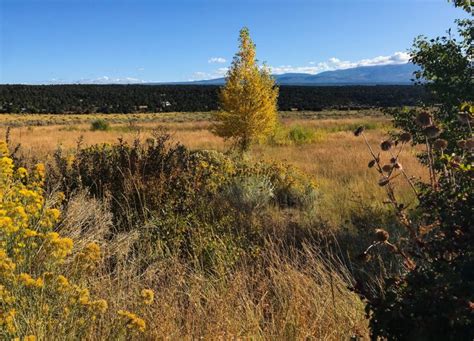 Fall Colors In Colorado - A Roadtrip To Silverton - Wanderer Writes