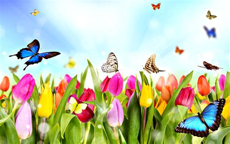 Vibrant Butterflies Among Blooming Tulips