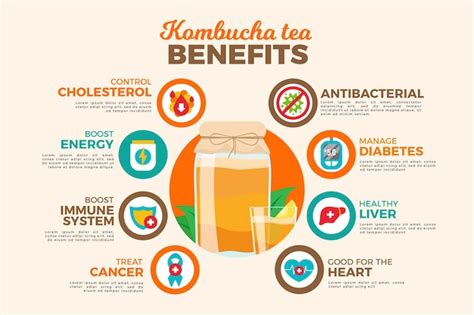 Premium Vector | Kombucha tea benefits illustration