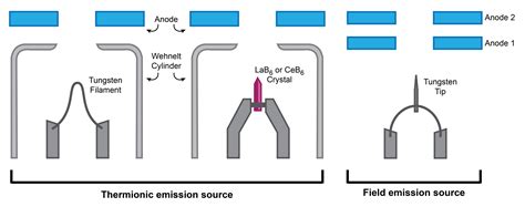 Tungsten Filament Sem