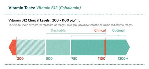 Vitamin B12 essential for energy and healthy aging - Dr Williams