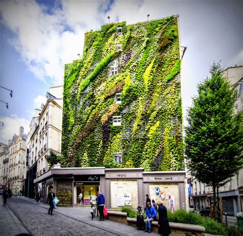 These Amazing Living Walls Make Us Green With Envy | Epic Gardening