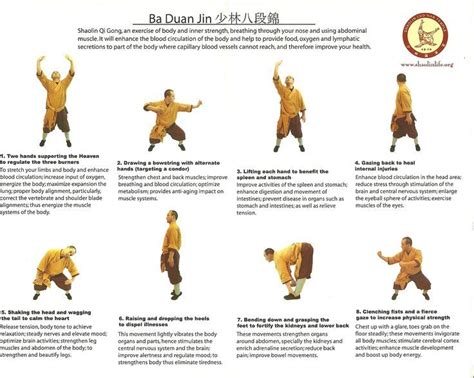 8 Brocades, Ba Duan Jin Qi Gong, Tai Chi Moves, Learn Tai Chi, Tai Chi Exercise, Thai Chi ...