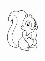 A Little Squirrel coloring Page  Download Print Or Color Online For Free sketch template