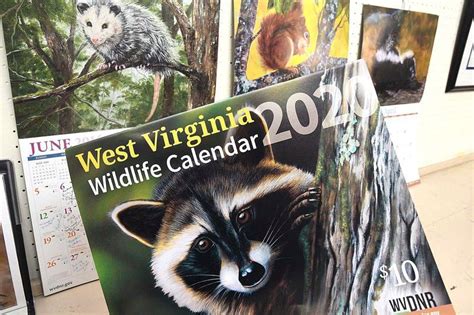 Artists capture essence of wildlife for DNR calendar | State & Region ...