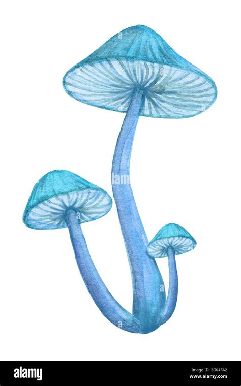 Magic mushroom bunch isolated on white background. Neon blue glowing toadstool Stock Photo - Alamy