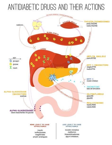 Lovely Bean : Photo | Farmacologia, Bioquímica, Fisiología