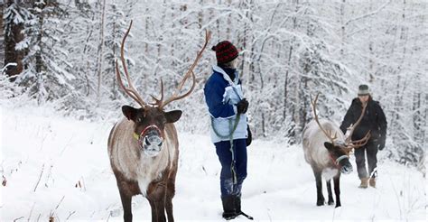 Fairbanks Weather | Explore Fairbanks, Alaska