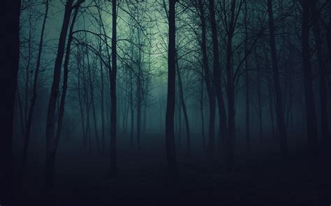 Horror Forest Wallpapers - Wallpaper Cave