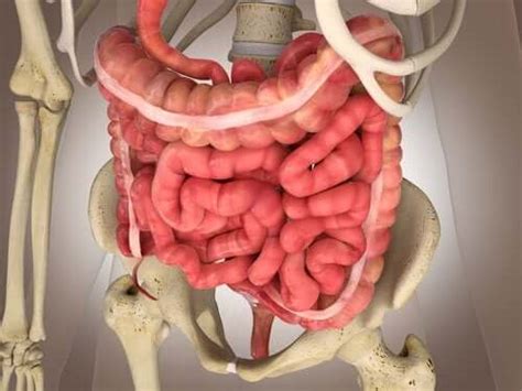 Mesenteric Ischemia: Diagnostic Exams and Treatments - Step To Health