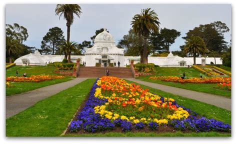 San Francisco Conservatory of Flowers: Tips to Visit & Pics