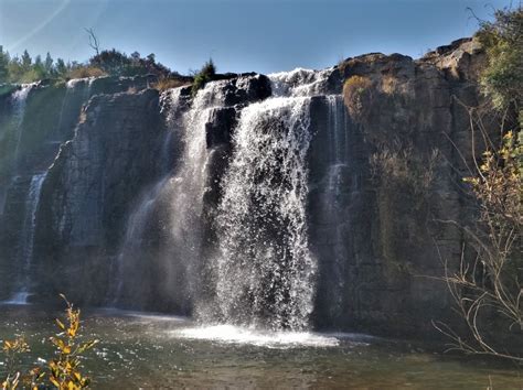 Forest Falls Trail Hiking Guide - The Scribs and Nibs