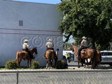 Stanislaus County Sheriff’s Department‘s Mounted Unit in Action ...