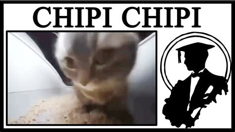 You Cannot Escape The Chipi Chipi Chapa Chapa Cat - YouTube