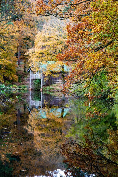 The Surrey Journal - Winkworth Arboretum