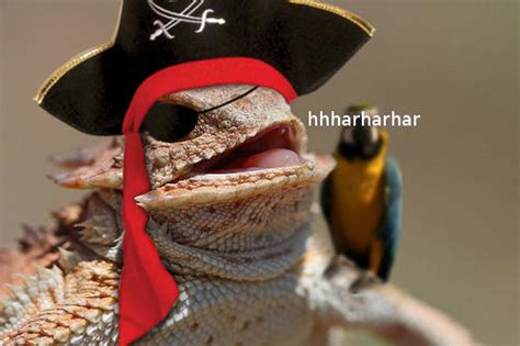 [Image - 804876] | Laughing Lizard / hhhehehe | Know Your Meme