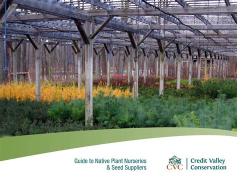 Native Plant Nurseries and Seed Sources - Credit Valley Conservation