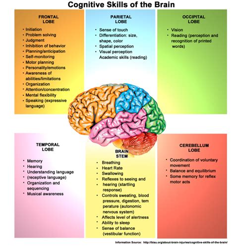 Cognitive Skills of the Brain | Horizon TBI & Brain Center