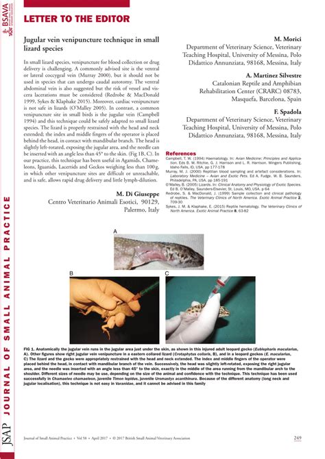 (PDF) Jugular vein venipuncture technique in small lizard species: Letter to the Editor