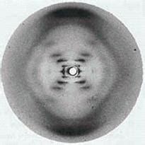 Rosalind Franklin's X-ray diffraction Photograph of DNA - Application Center