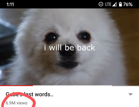 Petition for Gabe the Dog to be meme of the decade : r/memes