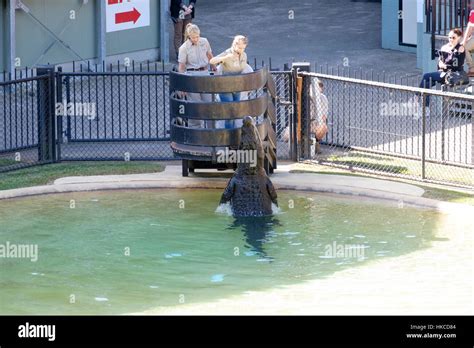 Crocodile Show - Australia Zoo Stock Photo - Alamy