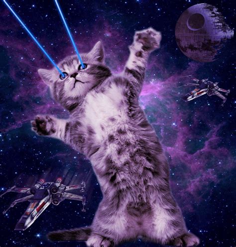 Space cat | Space cat, Galaxy cat, Cat laser