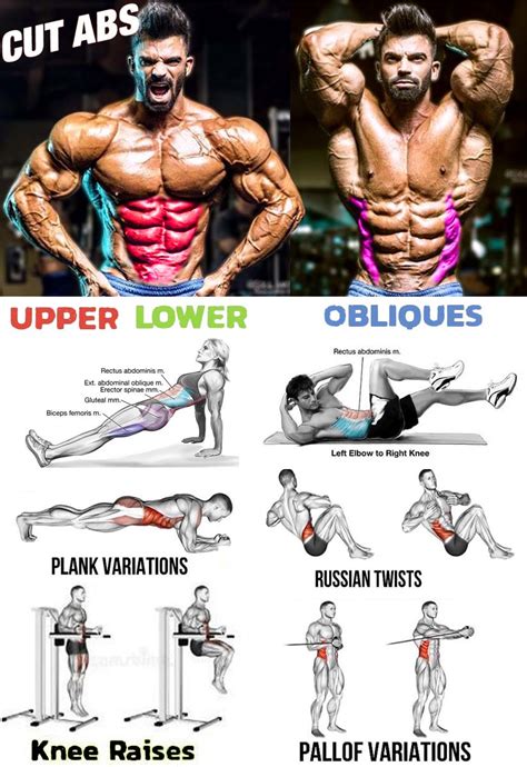 The best Ab Exercises & Program