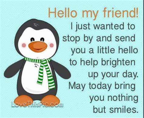 I Love Penguins Hello Quotes Funny, Hi Quotes, Penguin Love, Cute ...