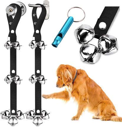 Best Dog Training Products | PetGuide