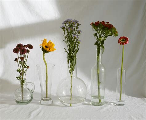 Elegant various shaped glass vases with tender assorted flowers in ...
