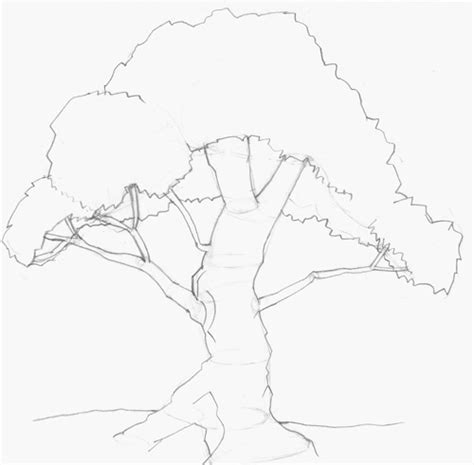 Simple Tree Roots Coloring Coloring Pages