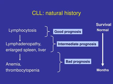 PPT - Chronic lymphocytic leukemia Prognosis and treatment PowerPoint Presentation - ID:3465718