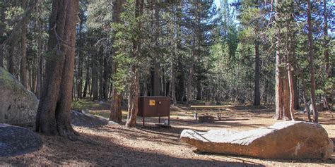 Guide to Camping in Yosemite National Park - Outdoor Project