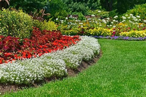 How To Build A Stunning Bedding Border For Your Garden Bed