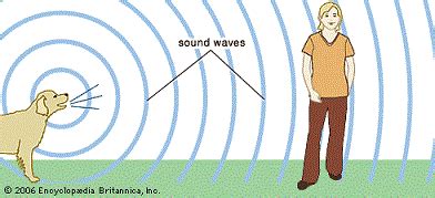 Sound Wave Diagram For Kids