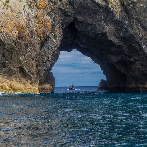 Hole in the Rock, Bay of Islands, New Zealand | Bay of islands, The ...