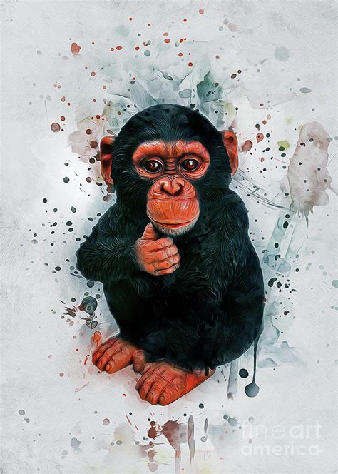 Baby Chimpanzee Digital Art by Ian Mitchell - Fine Art America