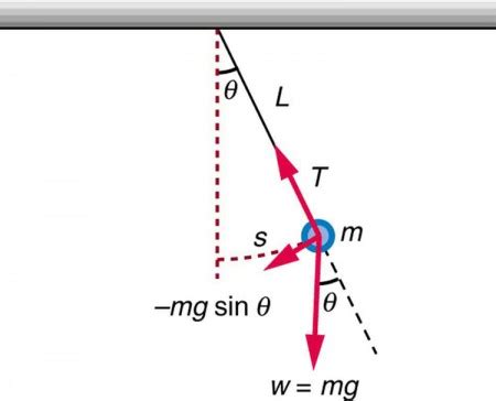 The Simple Pendulum | Physics