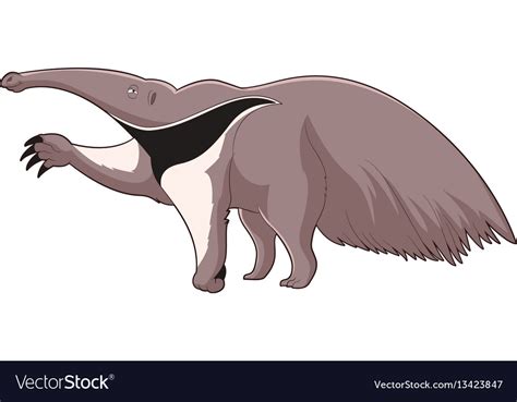 Cartoon smiling anteater Royalty Free Vector Image