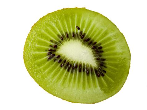 A green kiwi fruit stock photo. Image of closeup, fresh - 11661426