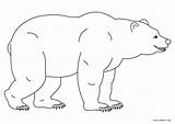 Dibujos De Oso Para Colorear  Páginas Imprimir Gratis sketch template