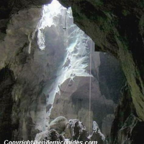 Gua Niah National Park, Sarawak | EndemicGuides