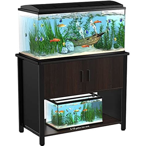 10 Best Fish For 37 Gallon Tank Of 2022 – SPI Nature Center