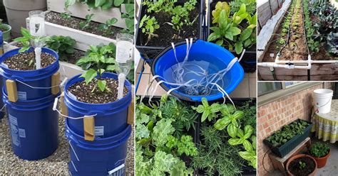 23 DIY Garden Watering Aid | Watering Systems You Can Create for Garden