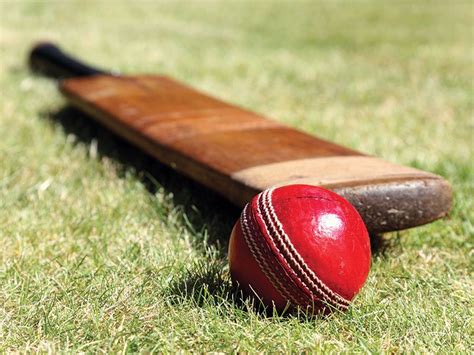 Cricket Quiz | Britannica