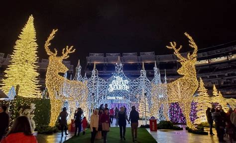 Enchant Christmas - Washington, DC | Christmas, Washington, Enchanted