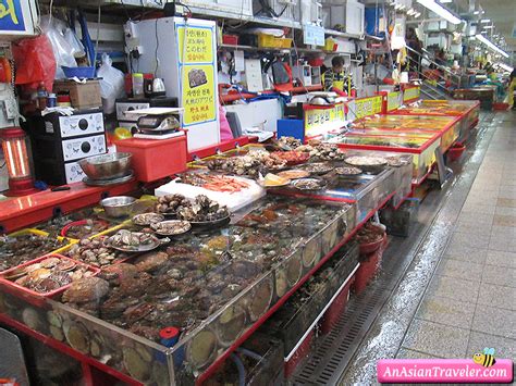 Busan Part 3: Jagalchi Market - An Asian Traveler