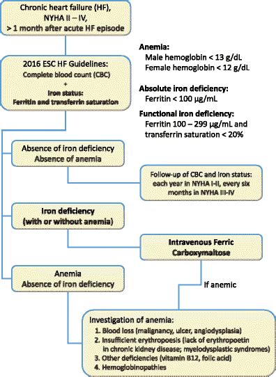 Treatment algorithm for iron deficiency in heart failure | Download Scientific Diagram