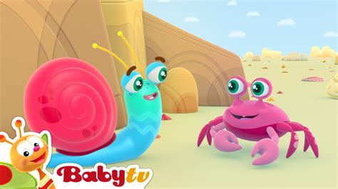 Mr. Snail at the Beach 🏖️ | Sea, Crab and Summer Fun 🌞 Cartoons for ...